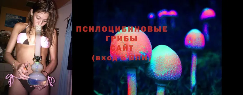 Галлюциногенные грибы Magic Shrooms  ОМГ ОМГ ссылка  Бикин 